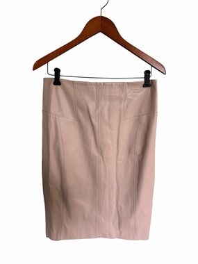 Express Blush Faux Leather Pencil Skirt